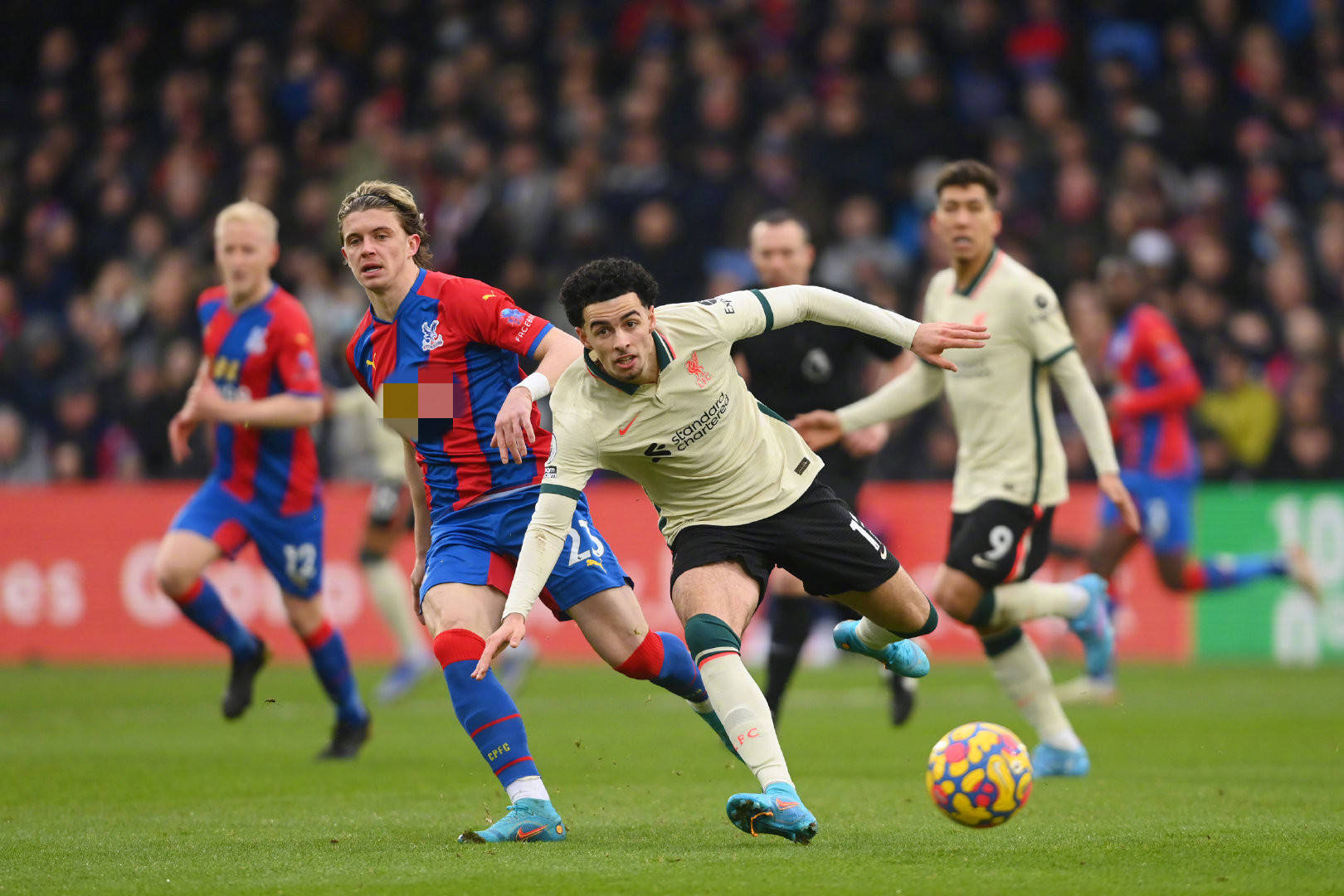 梅努原计划 梅努原计划