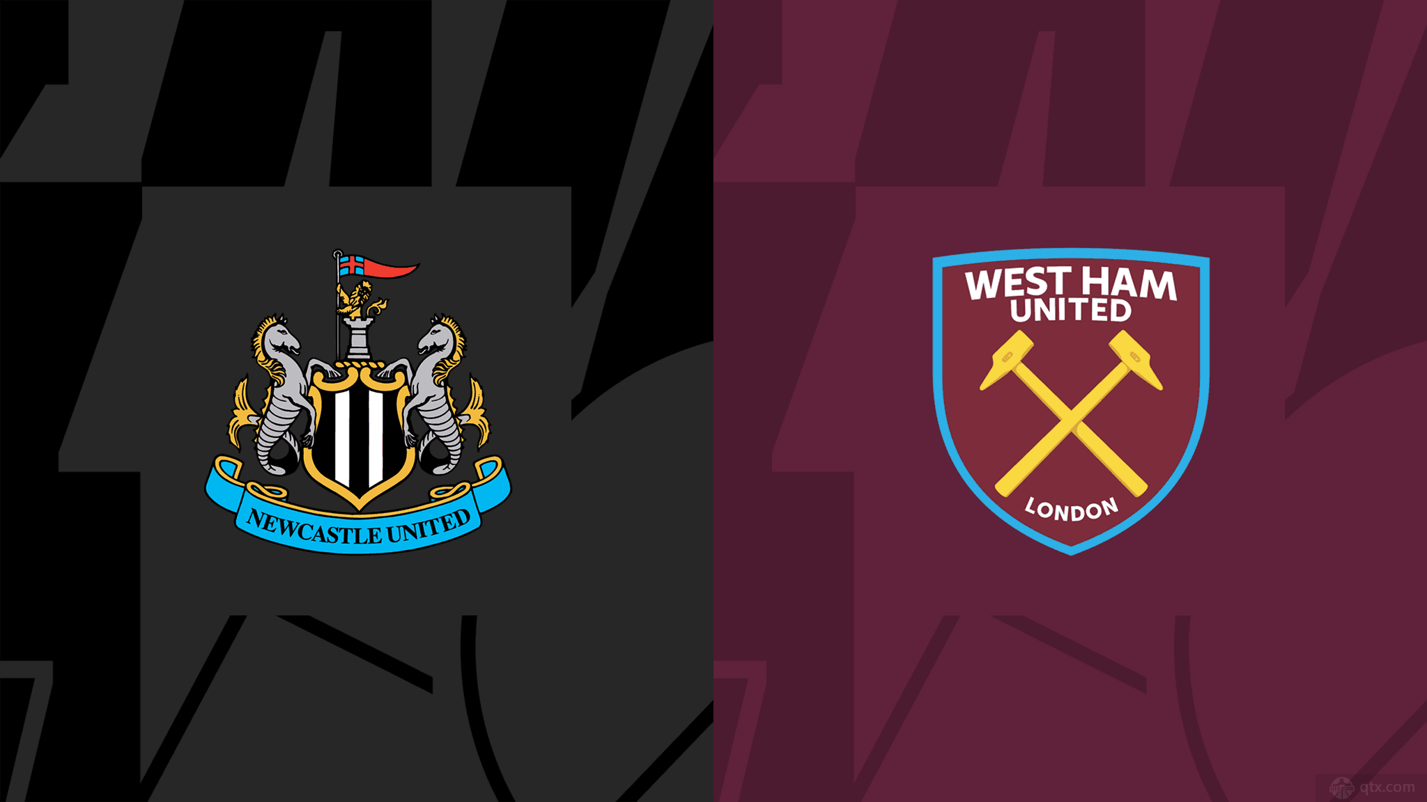 樊振东的 樊振东的